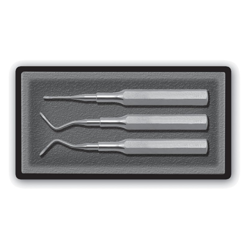 Dental Elevator Set, Heidbrink, 3 Pcs