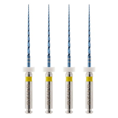 Controlled Memory File, Aurum Blue T1 04/20, 25mm