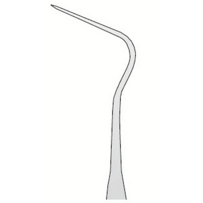 Explorer Anatomic N.12