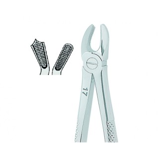 English Extracting Forceps No. 17