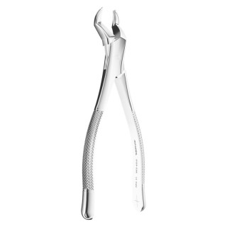 Extracting Forceps American N.53R