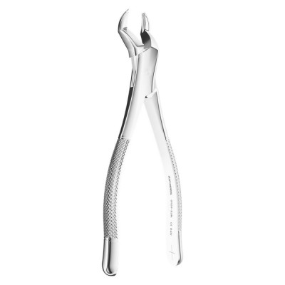 Extracting Forceps American N.53R