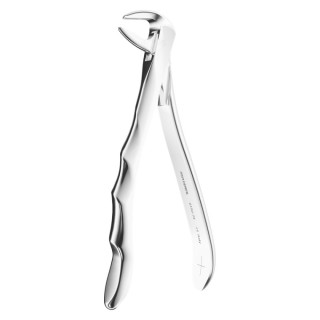 Extracting Forceps Anatomic N. 74