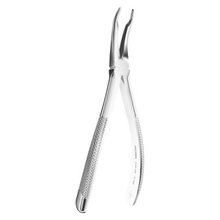 Extracting Forceps N. 349