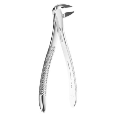 Extracting Forceps N. 359