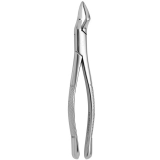 Tooth Forceps American N.65