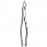 Tooth Forceps American N.65