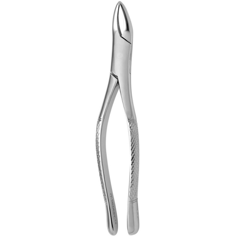 Tooth Forceps American N.69