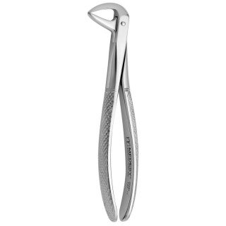 Tooth Forceps N.137