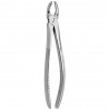 Tooth Forceps N.18-A