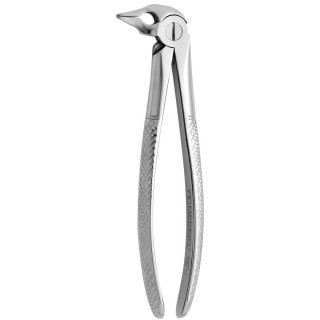 Tooth Forceps N.185