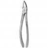 Tooth Forceps N.30