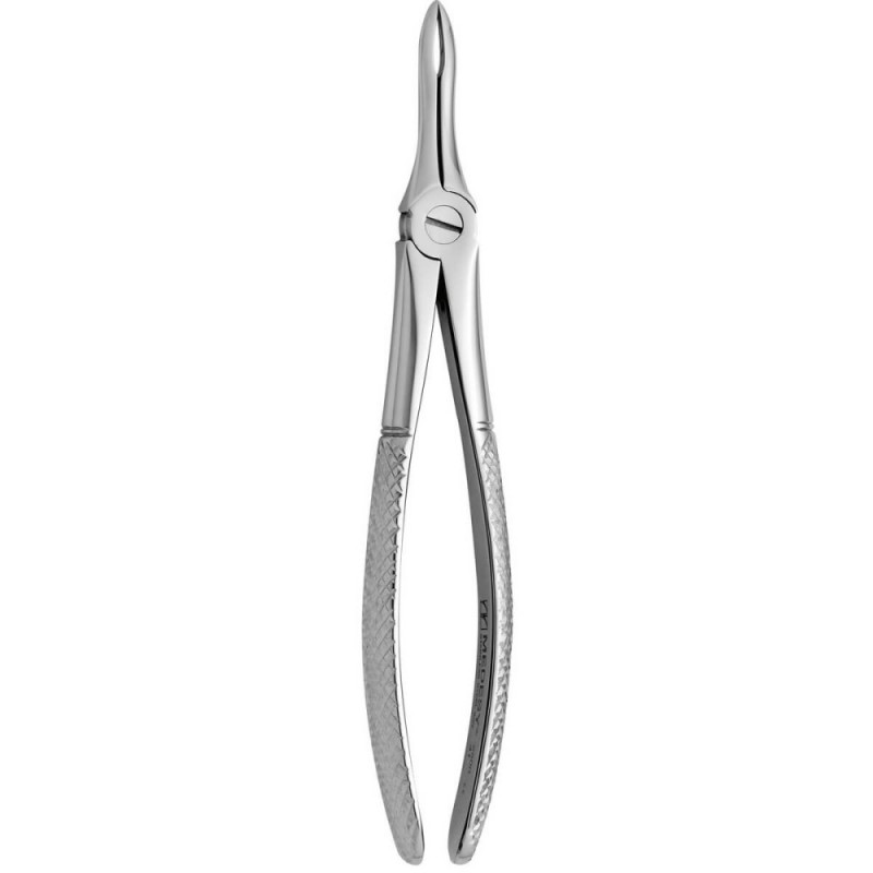 Tooth Forceps N.41