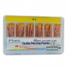 Gutta Percha F1