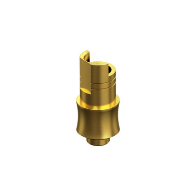 BIOMET 3i, CERTAIN, Non-Engaging Interface Abutment HG 2mm NP 3.4