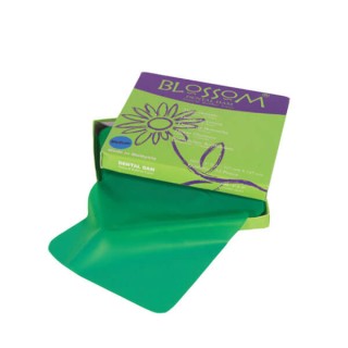 Rubber Dam, Mint Green, 6x6