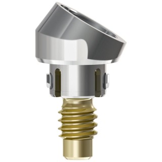 Access Abutment, 10°, 4.6mm