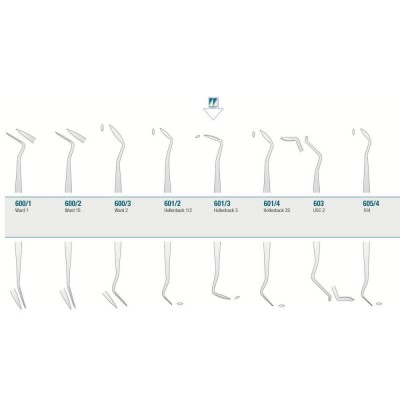 Amalgam/Composite Carver Hollenback 3