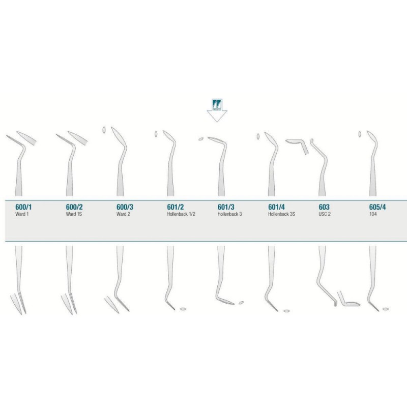 Amalgam/Composite Carver Hollenback 3