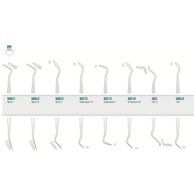 Amalgam/Composite Carver Ward 1